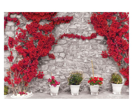 Фототапет Degrets 83825 Стена с червени цветя 2  184x254 см