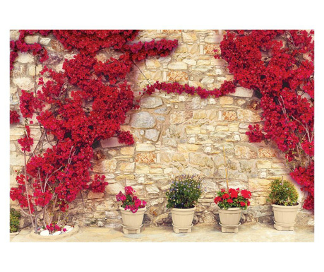 Фототапет Degrets 83777 Стена с червени цветя 1  184x254 см