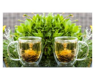 Set 2 Cani thermo MY CUP pentru ceai, lapte sau orice bautura rece sau calda, 480ml, DelCaffe