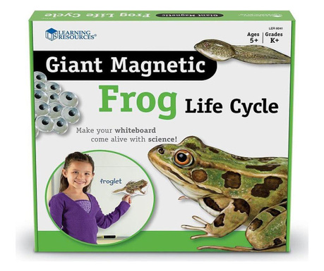 Цикъла на живот на жабата, Learning Resources
