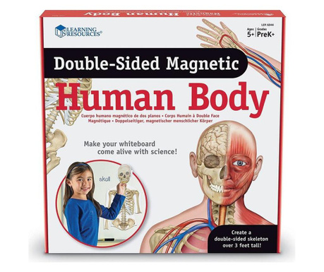 Магнитно човешко тяло - двустранно, Learning Resources, Ler6044