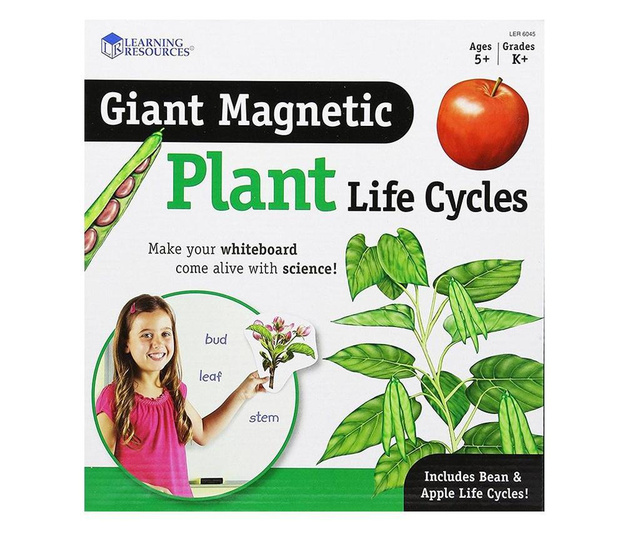 Циклите от живота на растенията - магнитни, Learning Resources, Ler6045