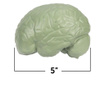 Мек анатомичен модел на мозък, Learning Resources, Ler1903