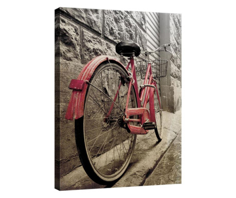 Картина Канава Degrets 78029 Розово колело, 100x75см