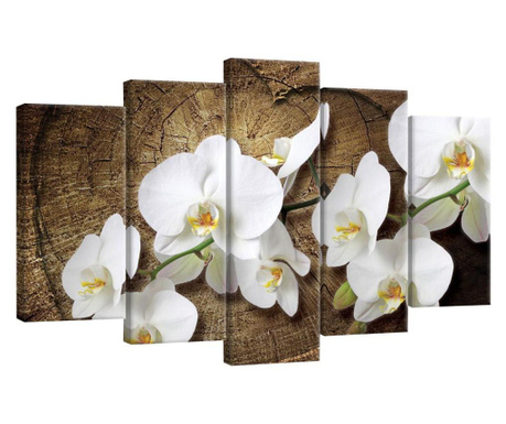 Сет Картина Канава Degrets 78584 Орхидея бяла 60x100см, 5 части ( 2x40x20 см, 2x50x20 см, 1x60x20 см)