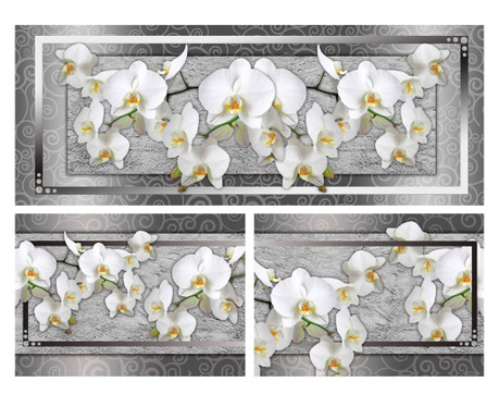 Сет Картина Канава Degrets 78643 Орхидея елегант 7 55,8x80см, 3 части ( 1 X 30 X 80 см, 2 X 25,8 X 37,5 см)