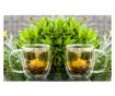 Set 2 Cani thermo MY CUP pentru ceai, lapte sau orice bautura rece sau calda, 480ml, DelCaffe