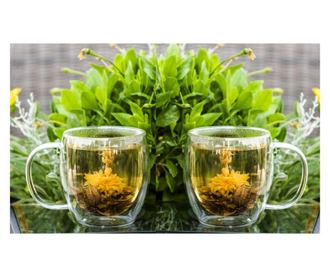 Set 2 Cani thermo MY CUP pentru ceai, lapte sau orice bautura rece sau calda, 480ml, DelCaffe