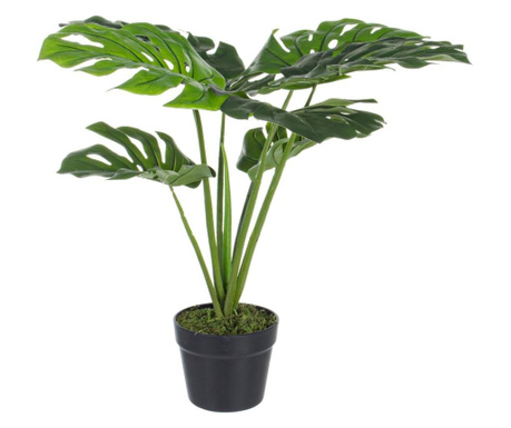Floare Artificiala In Ghiveci Philodendron 60 Cm X 60 H