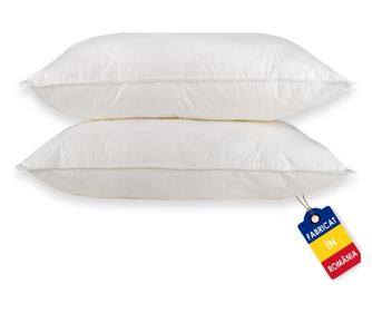 Set de 2 Perne cu puf si pana de gasca, 50cm x 70cm, alb cu trandafiri argintii Pernador
