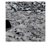 Tepih 150x80