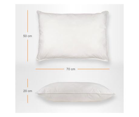 Set de 2 Perne cu puf si pana de gasca, 50cm x 70cm, albastru cu trandafiri argintii