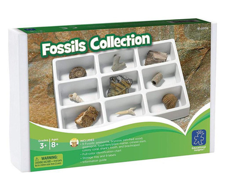 Колекция вкаменелости, educational insights, цветни