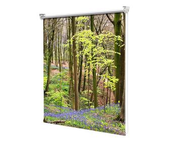 Roleta tip Jaluzea cu Rulou si sistem inclus, Padure cu copaci si flori, Decoratiuni Casa, Latime 95 cm x Inaltime 250 cm