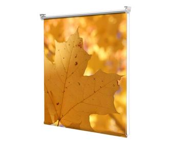 Roleta tip Jaluzea cu Rulou si sistem inclus, Frunze galbene, Decoratiuni Casa, Latime 45 cm x Inaltime 130 cm