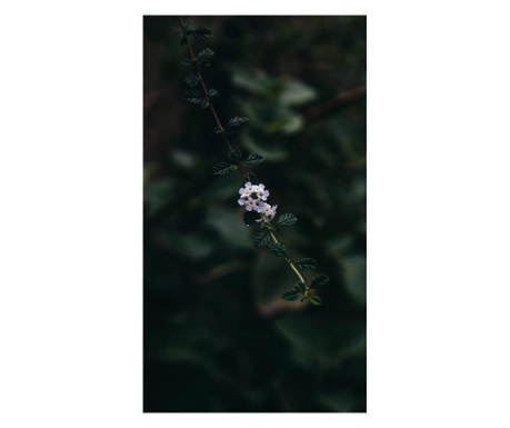 Tablou Sticla Frameless "Floral"