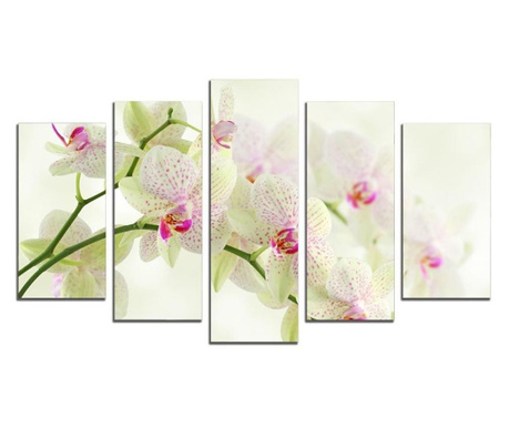 Картина-пано от 5 части Бели орхидеи, канава 108х60 см.