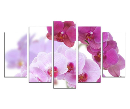 Картина-пано от 5 части Красиви орхидеи, канава 108х60 см.
