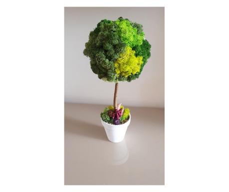 Copacel cu licheni stabilizati, 25 cm h, Green Mood Maschi Design, 25 cm inaltime, nuante de verde