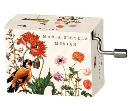 Flasneta Maria Sibylla Merian (pasari), Vivaldi Spring