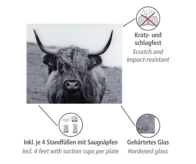 Ploča protiv prskanja Highland Cattle