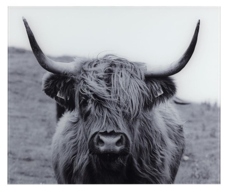Plošča proti škropljenju Highland Cattle