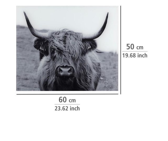 Ploča protiv prskanja Highland Cattle