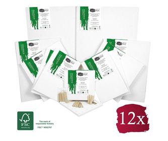 Комплект от 12 броя платна за рисуване Artina с FSC® сертификат, Различни размери