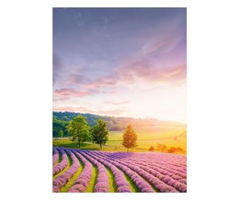 Tablou 50x70 cm, lavender, sticla