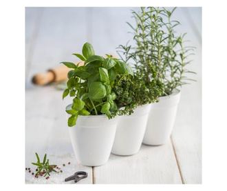 Garden Keter