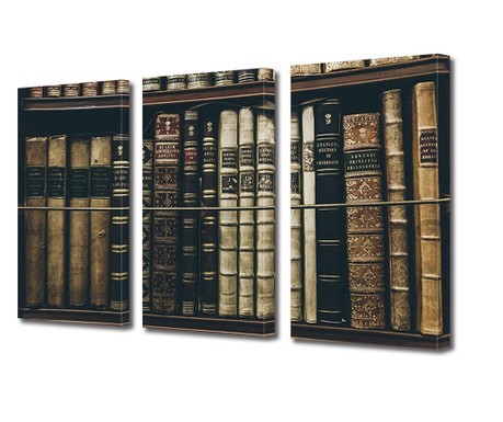 Set Tablouri Multicanvas 3 piese, Carti vechi in biblioteca, Panza pe cadru de lemn, 3 x 50 x 70 cm