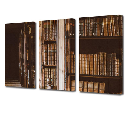 Set Tablouri Multicanvas 3 piese, Biblioteca veche cu carti, Panza pe cadru de lemn, 3 x 50 x 70 cm