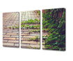 Set Tablouri Multicanvas 3 piese, Plante agatatoare, Panza pe cadru de lemn, Decoratiuni Casa, 3 x 70 x 100 cm