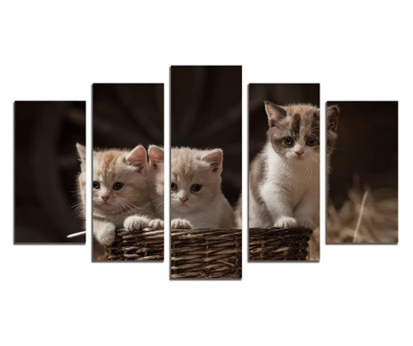 Картина-пано от 5 части,Сладки котенца, канава 108х60 см.