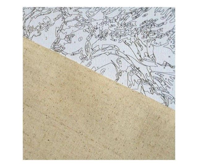 Tablou 500 Picteaza Dupa Numere Pisicile blanoase, 20x30 cm