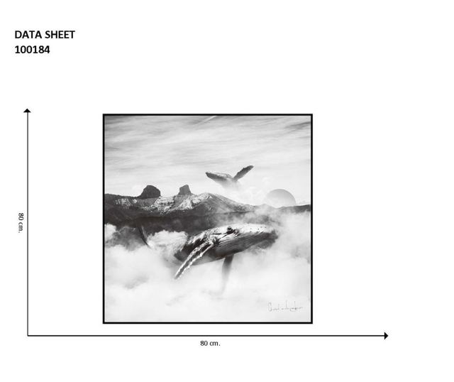 Black and White Whales Kép 80x80 cm