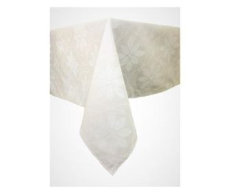 Fata de masa Veronica crudo