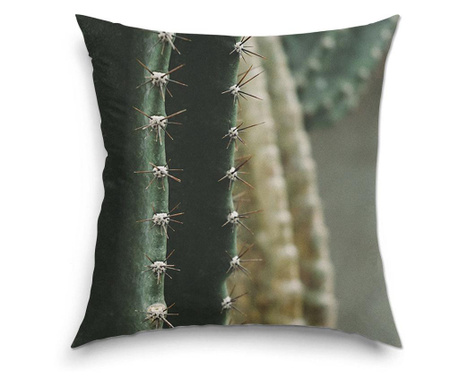 Perna decorativa Art Factory, Close-up cactus, compozite cactus, Flori, Decoratiuni Casa, 38 x 38 cm