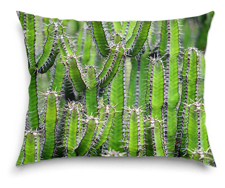Perna decorativa Art Factory, Compozitie de cactusi, Flori, 38 x 48 cm