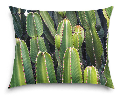 Perna decorativa Art Factory, Cactusi ce vor inflori, Flori, 38 x 48 cm