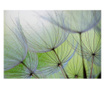 Fototapet vlies - Oglinda, flori - 150 x 105 cm