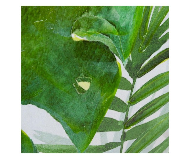 Keretezett falikép, dzsungel mintás, 78x78 cm, zöld - FEUILLE