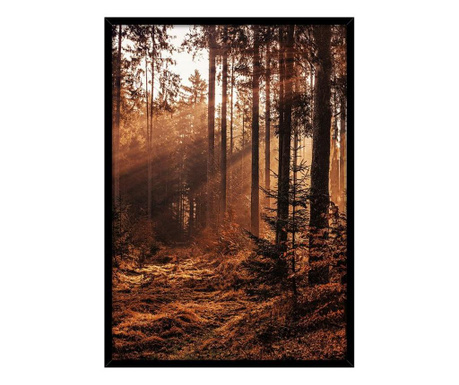 Keretezett poszter, szépia erdő, 50x70 cm, barna - SOUSBOIS