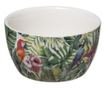 Juno szerviz kszlet, porceln, bambusz, 31x9.8 x6.7 cm