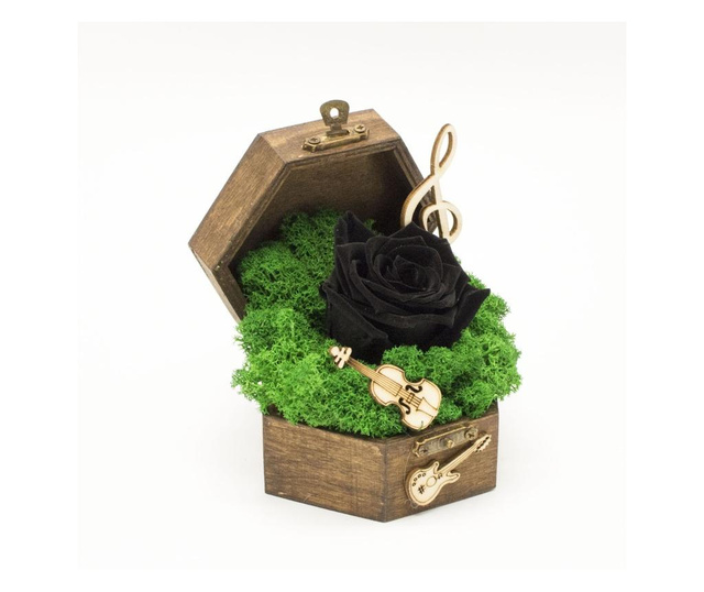 Aranjament floral, Cufar Music Box, Trandafir Criogenat Roz, Decoriada