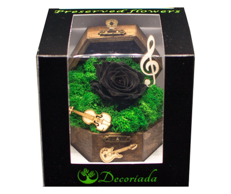 Aranjament floral, Cufar Music Box, Trandafir Criogenat Negru, Decoriada