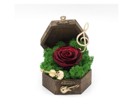 Aranjament floral, Cufar Music Box, Trandafir Criogenat Grena, Decoriada