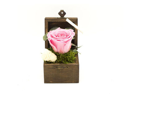 Aranjament floral, Cufar Candy cu Trandafir Criogenat Roz, Decoriada