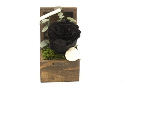 Aranjament floral, Cufar Candy cu Trandafir Criogenat Negru, Decoriada