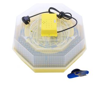 Incubator electric pentru oua, Cleo, model 5